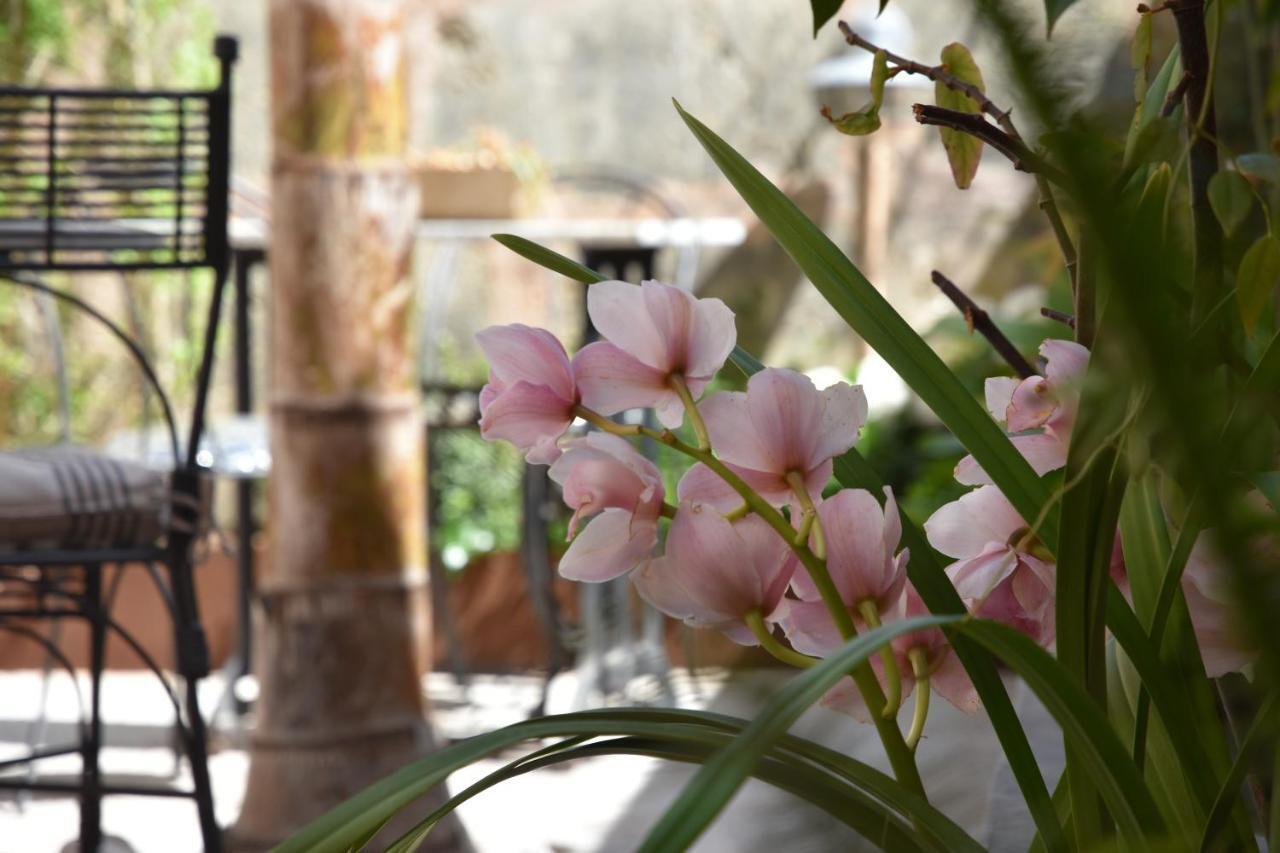 Ecocirer Healthy Hotell Sóller