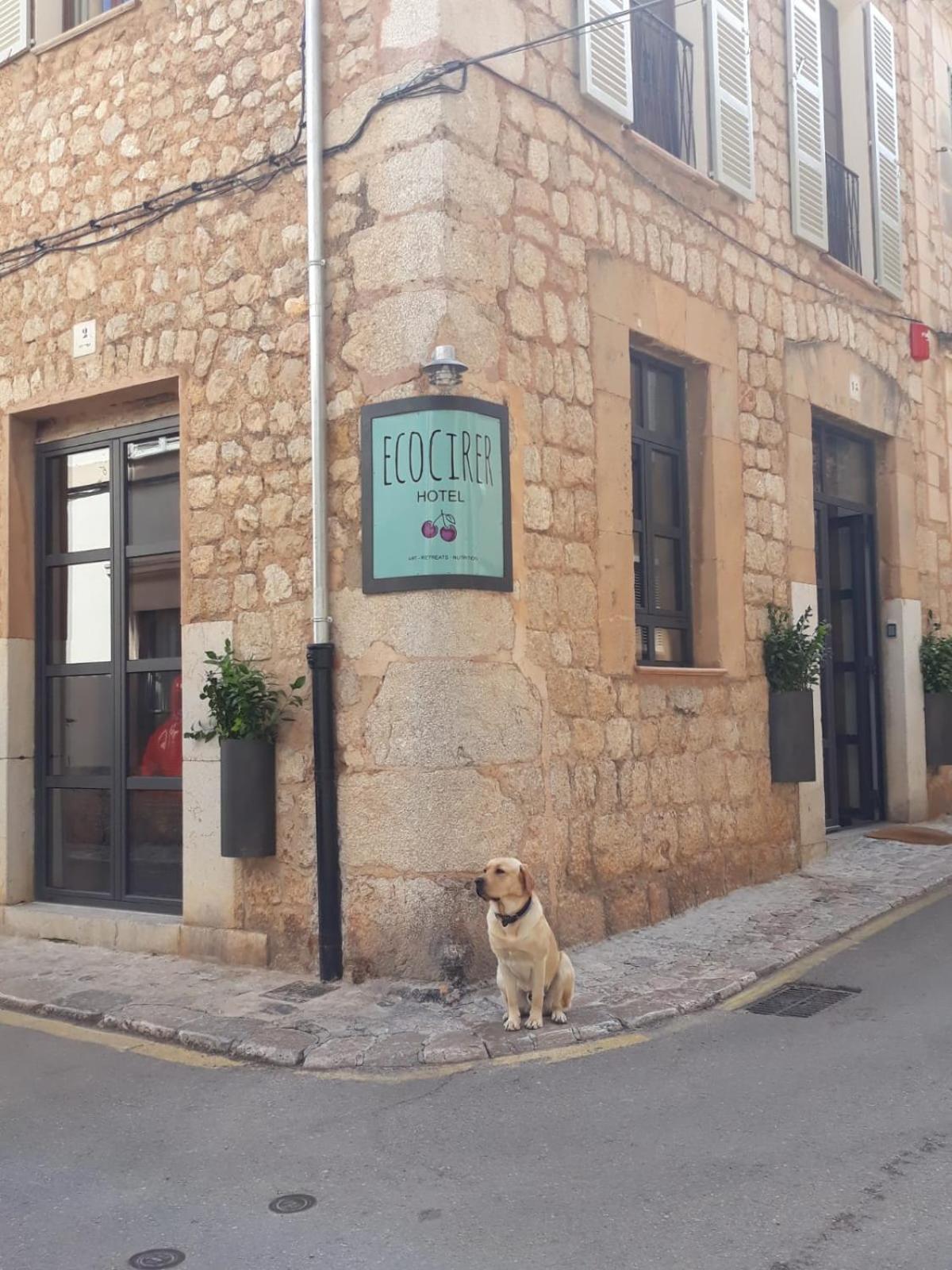 Hotell Ecocirer Healthy Sóller